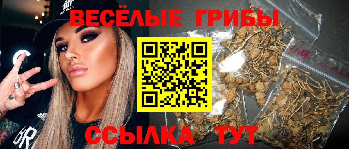 Купить закладку  ГАШИШ  Вход с VPN  Каннабис  Вейп ТГК  Светлоград  Меф МЯУ МЯУ  