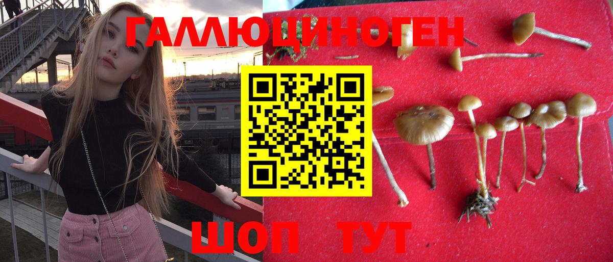 Псилоцибиновые грибы прущие грибы Светлоград